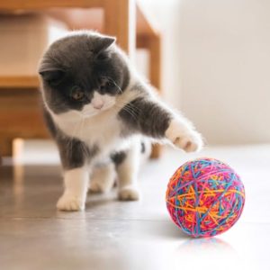2pcs Big Cat Ball Toys - Multi-Colored Geometric Fuzzy Fabric & Fleece Yarn Interactive Chew Toys for Indoor Cats, Dental Health, Scratch-Resistant, Self-Playing Cat Toys for All Breeds, Interactive Cat Toy, Pet Dental Care, Playful Pet Design, Scratchres