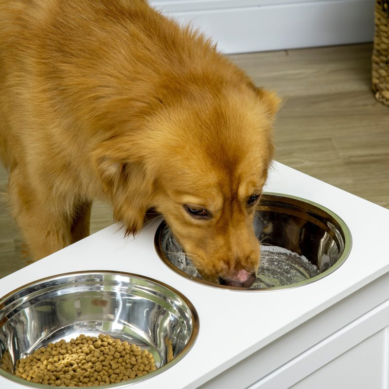11L Capacity Elevated Dog Bowls with Storage Drawer - Large Raised Dog Bowl Stand Pet Food Bowl Dog Feeding Station, White - Image 3